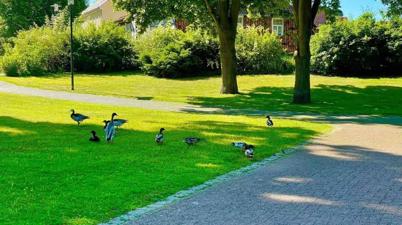 Gaestehaus Ambiente Am Kurpark Bad Sooden-Allendorf Extérieur photo